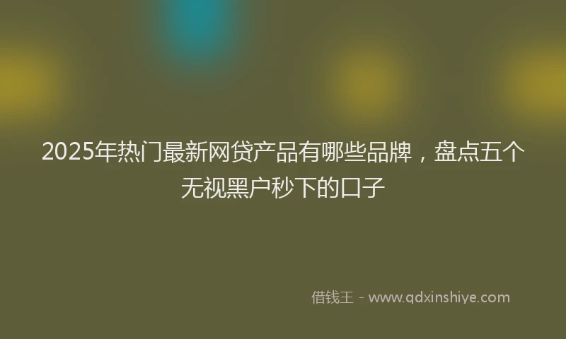 2025年热门最新网贷产品有哪些品牌，盘点五个无视黑户秒下的口子