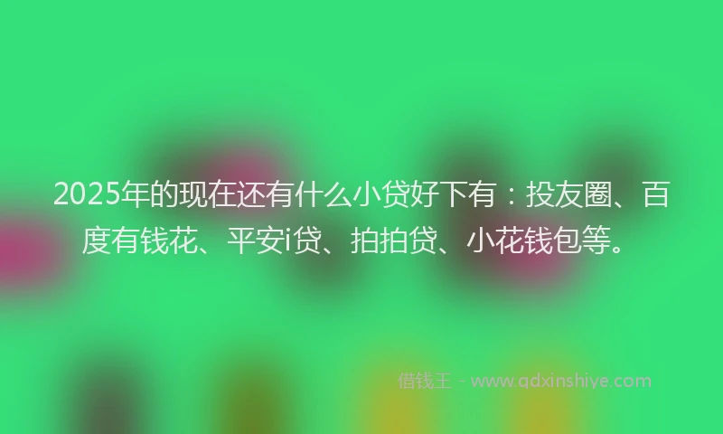 2025年的现在还有什么小贷好下有：投友圈、百度有钱花、平安i贷、拍拍贷、小花钱包等。