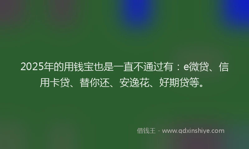 2025年的用钱宝也是一直不通过有：e微贷、信用卡贷、替你还、安逸花、好期贷等。