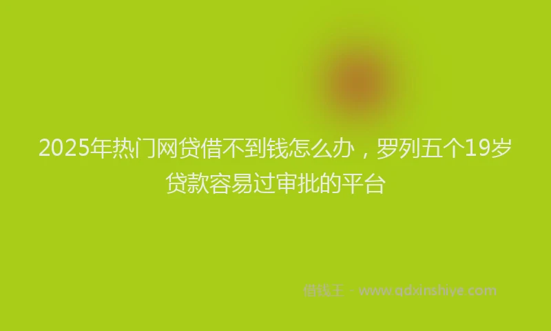 2025年热门网贷借不到钱怎么办，罗列五个19岁贷款容易过审批的平台