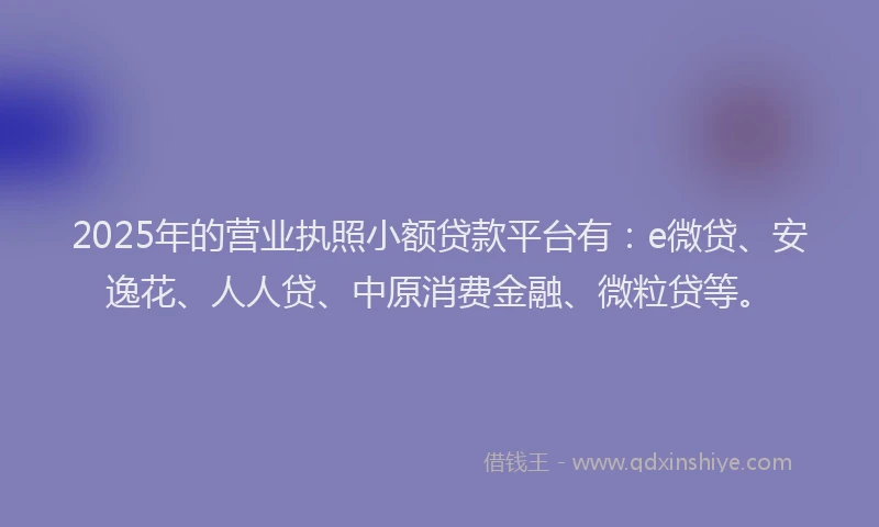 2025年的营业执照小额贷款平台有：e微贷、安逸花、人人贷、中原消费金融、微粒贷等。