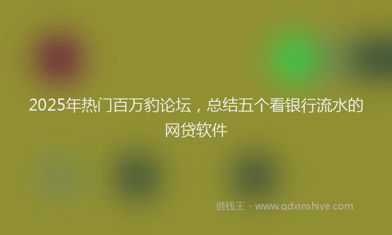 2025年热门百万豹论坛，总结五个看银行流水的网贷软件