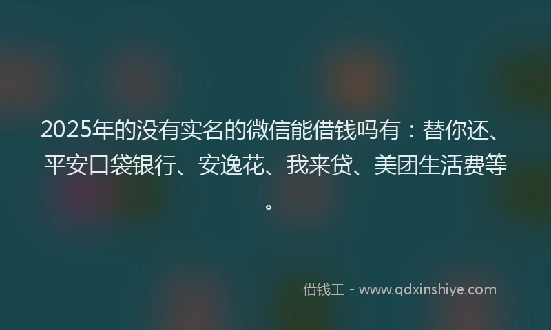 2025年的没有实名的微信能借钱吗有：替你还、平安口袋银行、安逸花、我来贷、美团生活费等。