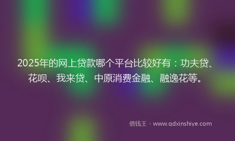 2025年的网上贷款哪个平台比较好有：功夫贷、花呗、我来贷、中原消费金融、融逸花等。