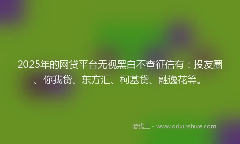 2025年的网贷平台无视黑白不查征信有：投友圈、你我贷、东方汇、柯基贷、融逸花等。