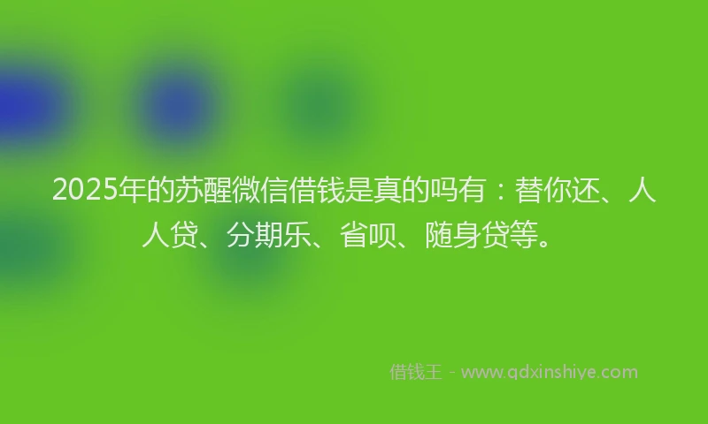 2025年的苏醒微信借钱是真的吗有：替你还、人人贷、分期乐、省呗、随身贷等。