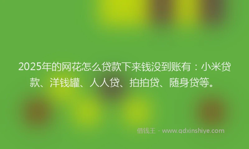 2025年的网花怎么贷款下来钱没到账有：小米贷款、洋钱罐、人人贷、拍拍贷、随身贷等。