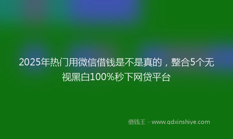 2025年热门用微信借钱是不是真的，整合5个无视黑白100%秒下网贷平台