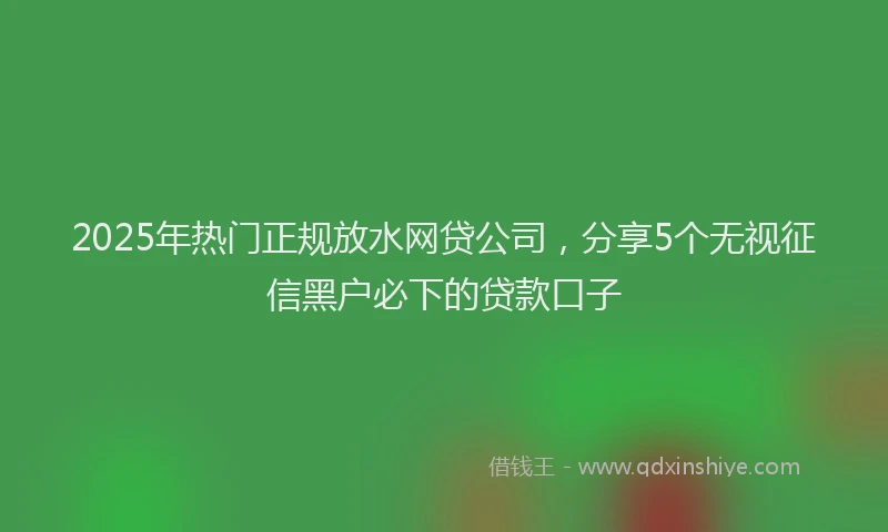 2025年热门正规放水网贷公司，分享5个无视征信黑户必下的贷款口子