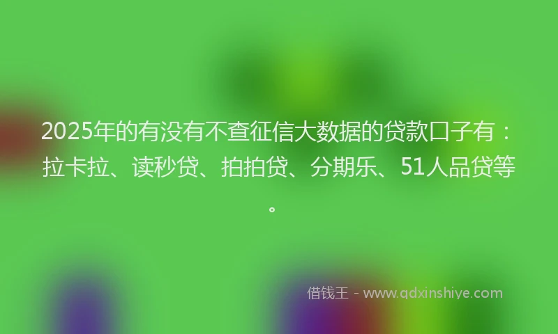 2025年的有没有不查征信大数据的贷款口子有：拉卡拉、读秒贷、拍拍贷、分期乐、51人品贷等。