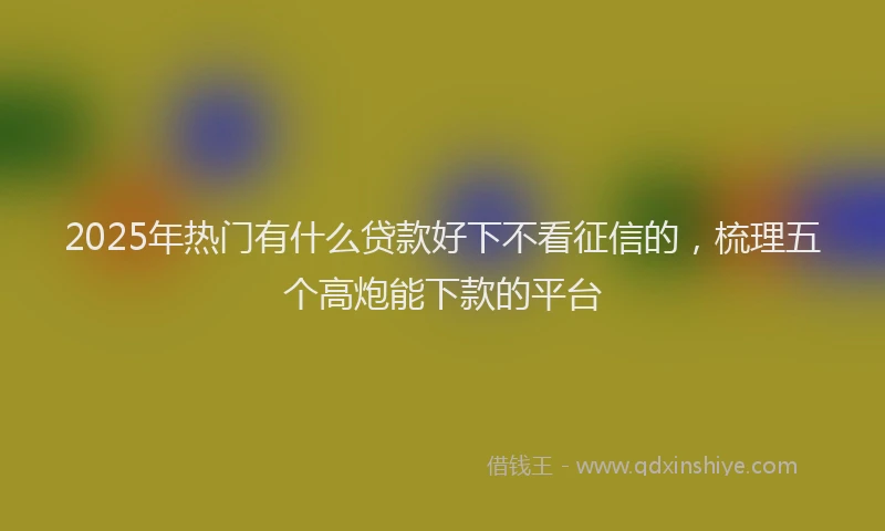 2025年热门有什么贷款好下不看征信的，梳理五个高炮能下款的平台