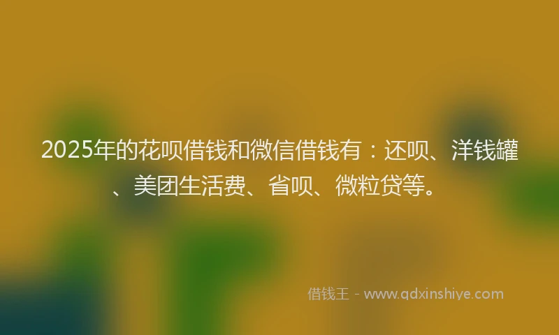 2025年的花呗借钱和微信借钱有：还呗、洋钱罐、美团生活费、省呗、微粒贷等。