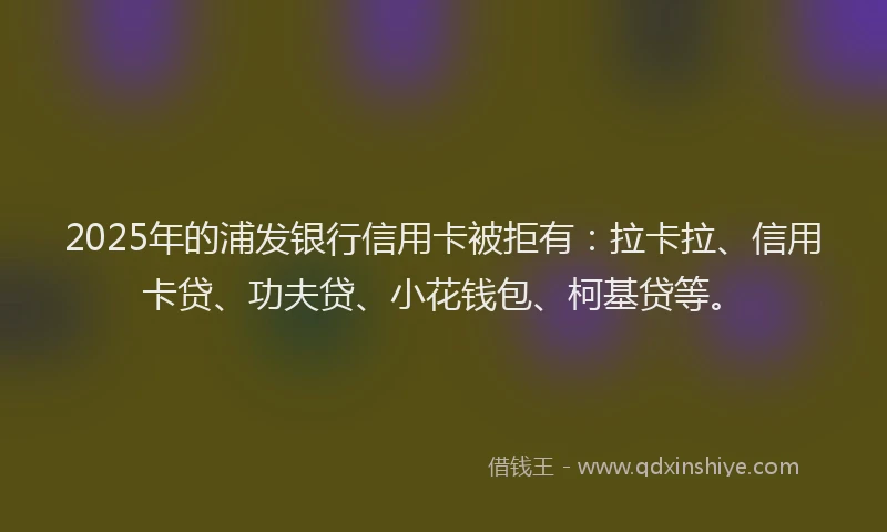 2025年的浦发银行信用卡被拒有：拉卡拉、信用卡贷、功夫贷、小花钱包、柯基贷等。