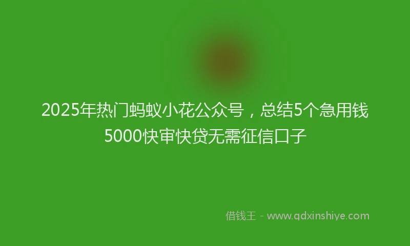 2025年热门蚂蚁小花公众号，总结5个急用钱5000快审快贷无需征信口子