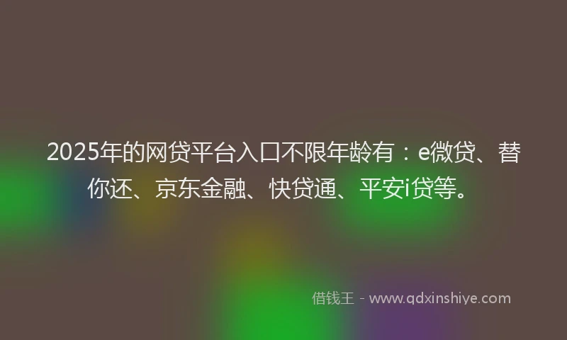 2025年的网贷平台入口不限年龄有：e微贷、替你还、京东金融、快贷通、平安i贷等。