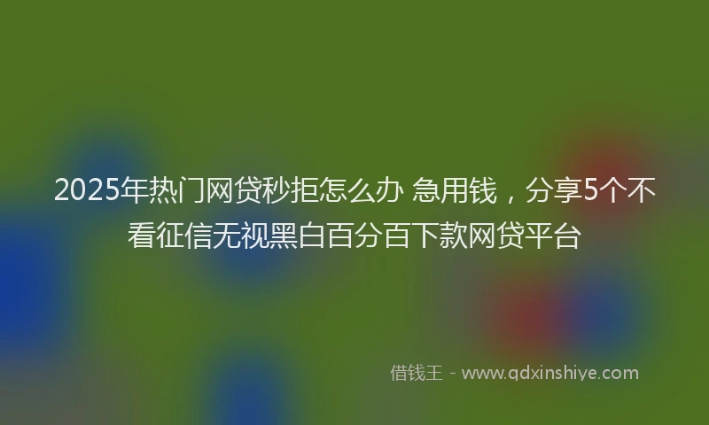 2025年热门网贷秒拒怎么办 急用钱，分享5个不看征信无视黑白百分百下款网贷平台
