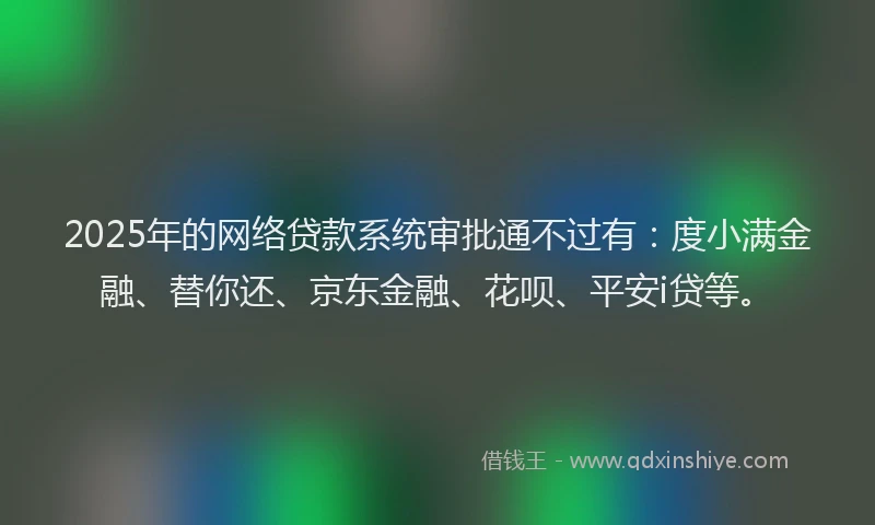 2025年的网络贷款系统审批通不过有：度小满金融、替你还、京东金融、花呗、平安i贷等。