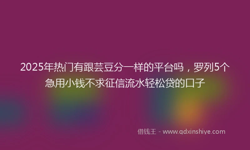 2025年热门有跟芸豆分一样的平台吗，罗列5个急用小钱不求征信流水轻松贷的口子