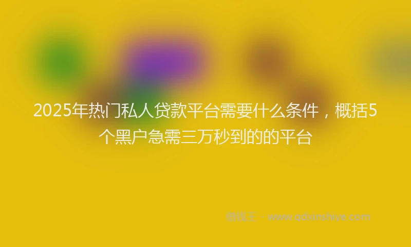 2025年热门私人贷款平台需要什么条件，概括5个黑户急需三万秒到的的平台