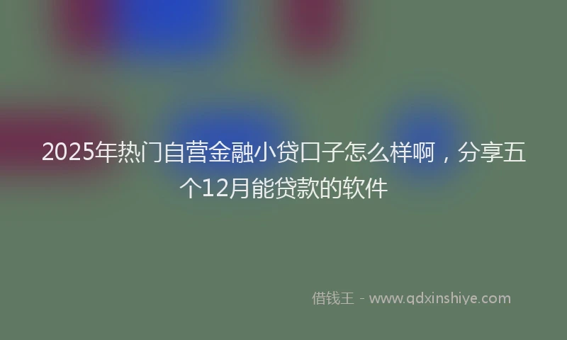 2025年热门自营金融小贷口子怎么样啊，分享五个12月能贷款的软件