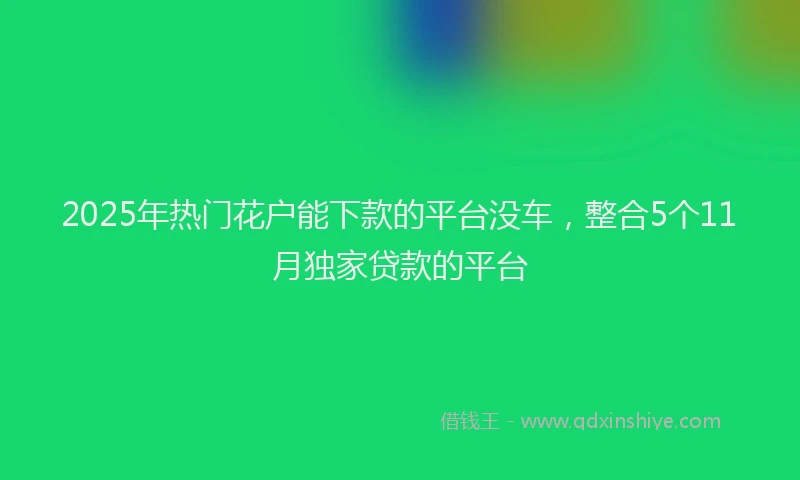 2025年热门花户能下款的平台没车，整合5个11月独家贷款的平台