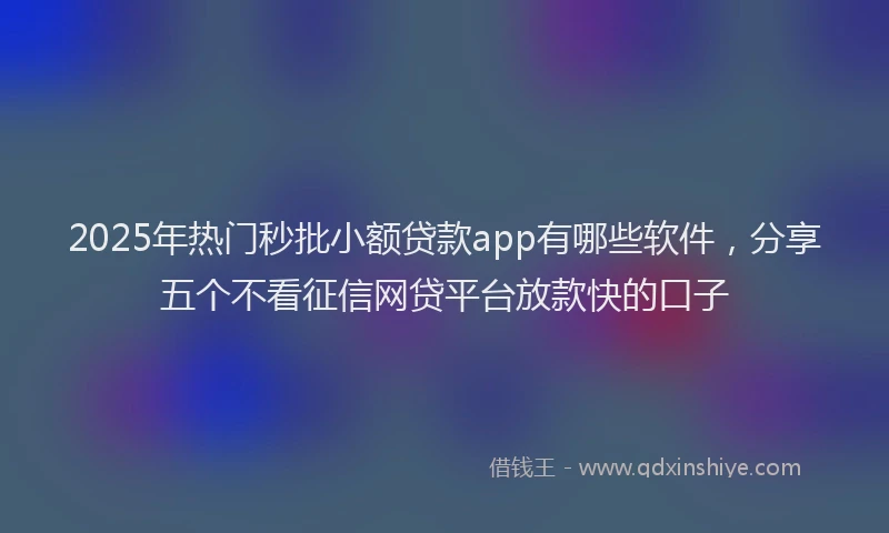 2025年热门秒批小额贷款app有哪些软件，分享五个不看征信网贷平台放款快的口子