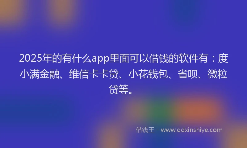 2025年的有什么app里面可以借钱的软件有：度小满金融、维信卡卡贷、小花钱包、省呗、微粒贷等。