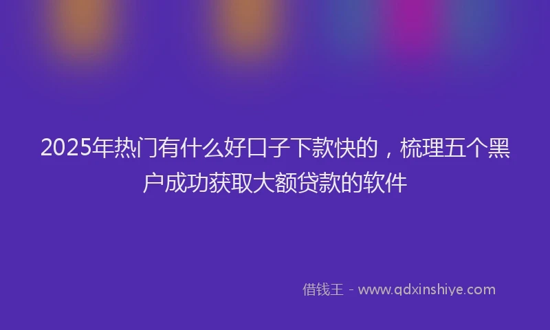 2025年热门有什么好口子下款快的，梳理五个黑户成功获取大额贷款的软件