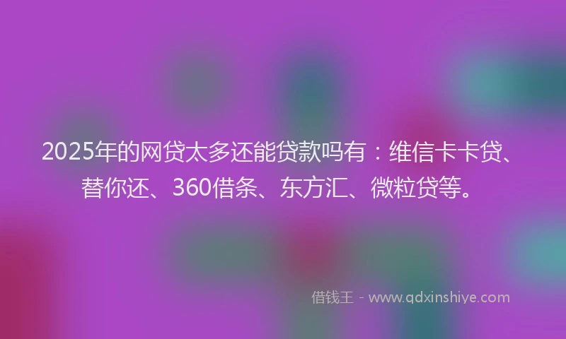 2025年的网贷太多还能贷款吗有：维信卡卡贷、替你还、360借条、东方汇、微粒贷等。