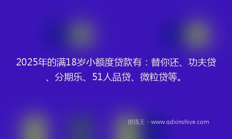 2025年的满18岁小额度贷款有：替你还、功夫贷、分期乐、51人品贷、微粒贷等。