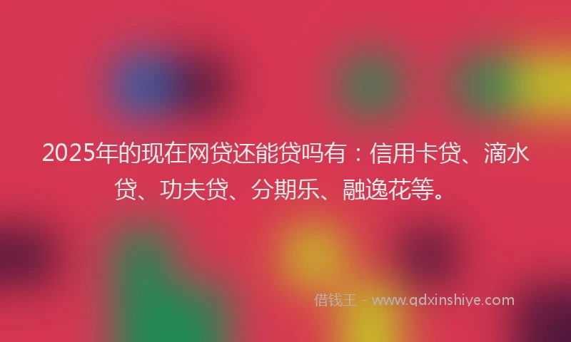 2025年的现在网贷还能贷吗有：信用卡贷、滴水贷、功夫贷、分期乐、融逸花等。
