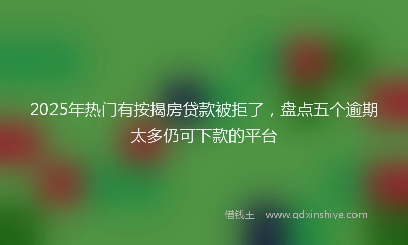 2025年热门有按揭房贷款被拒了，盘点五个逾期太多仍可下款的平台