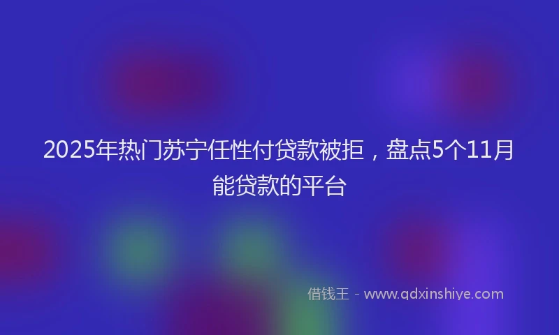 2025年热门苏宁任性付贷款被拒，盘点5个11月能贷款的平台