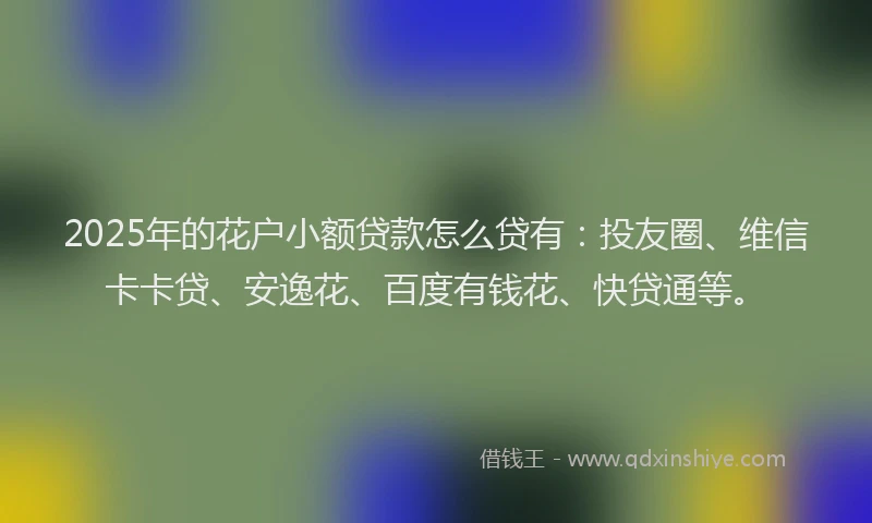2025年的花户小额贷款怎么贷有：投友圈、维信卡卡贷、安逸花、百度有钱花、快贷通等。
