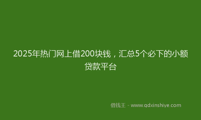 2025年热门网上借200块钱，汇总5个必下的小额贷款平台