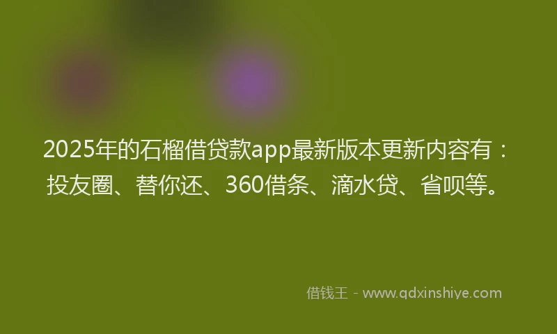 2025年的石榴借贷款app最新版本更新内容有：投友圈、替你还、360借条、滴水贷、省呗等。