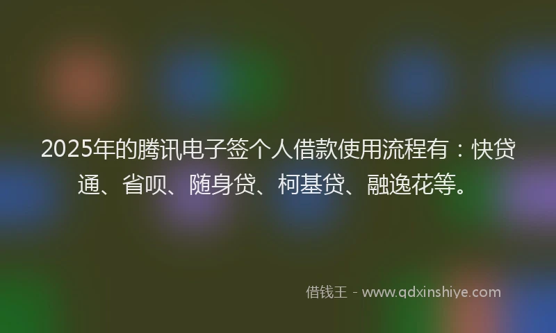 2025年的腾讯电子签个人借款使用流程有：快贷通、省呗、随身贷、柯基贷、融逸花等。