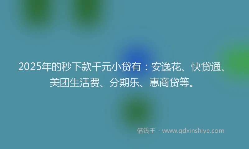 2025年的秒下款千元小贷有：安逸花、快贷通、美团生活费、分期乐、惠商贷等。