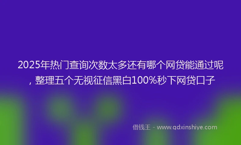 2025年热门查询次数太多还有哪个网贷能通过呢，整理五个无视征信黑白100%秒下网贷口子