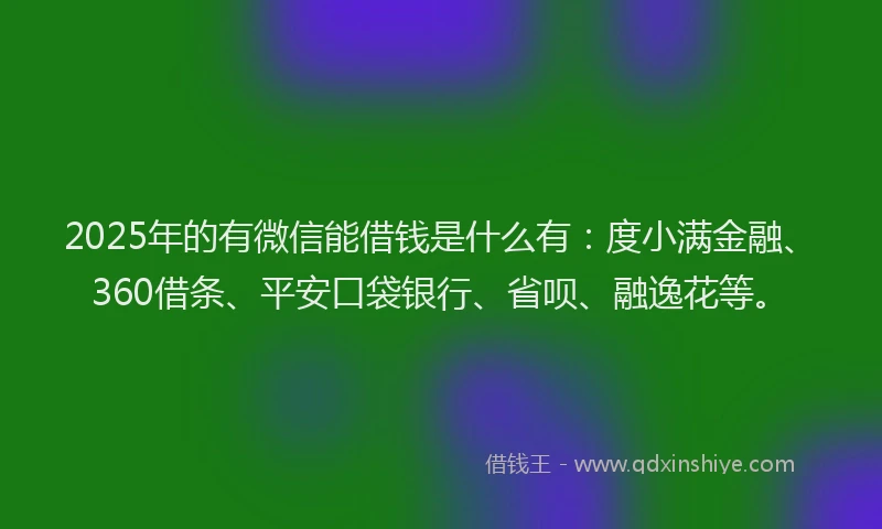 2025年的有微信能借钱是什么有：度小满金融、360借条、平安口袋银行、省呗、融逸花等。