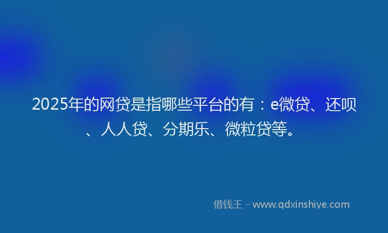 2025年的网贷是指哪些平台的有：e微贷、还呗、人人贷、分期乐、微粒贷等。