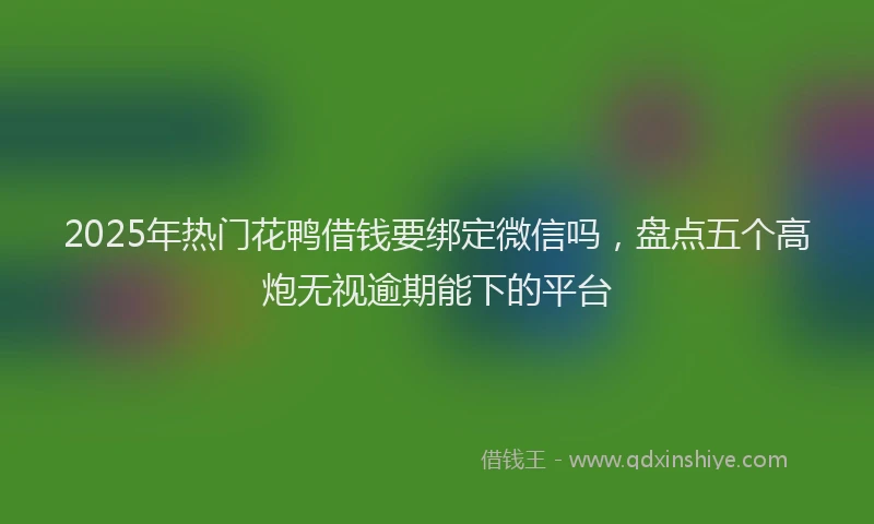 2025年热门花鸭借钱要绑定微信吗，盘点五个高炮无视逾期能下的平台