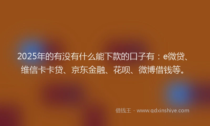 2025年的有没有什么能下款的口子有：e微贷、维信卡卡贷、京东金融、花呗、微博借钱等。