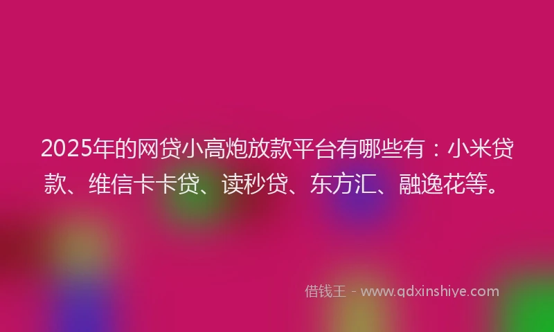2025年的网贷小高炮放款平台有哪些有：小米贷款、维信卡卡贷、读秒贷、东方汇、融逸花等。
