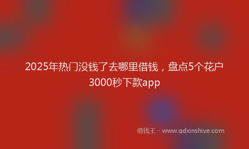 2025年热门没钱了去哪里借钱，盘点5个花户3000秒下款app