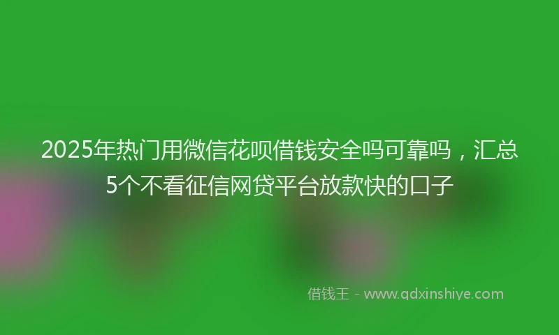 2025年热门用微信花呗借钱安全吗可靠吗，汇总5个不看征信网贷平台放款快的口子