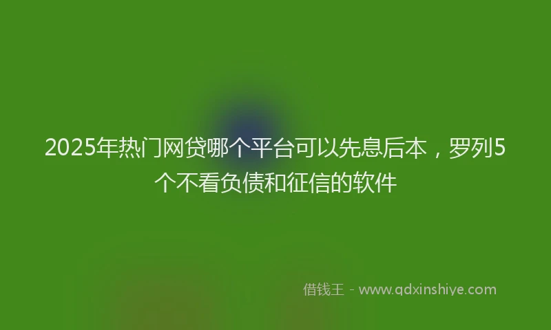 2025年热门网贷哪个平台可以先息后本，罗列5个不看负债和征信的软件