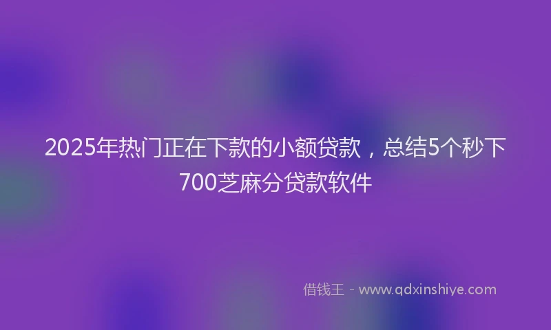 2025年热门正在下款的小额贷款，总结5个秒下700芝麻分贷款软件