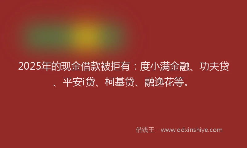 2025年的现金借款被拒有：度小满金融、功夫贷、平安i贷、柯基贷、融逸花等。