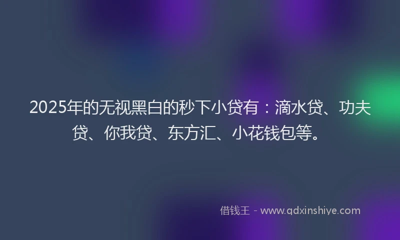 2025年的无视黑白的秒下小贷有：滴水贷、功夫贷、你我贷、东方汇、小花钱包等。